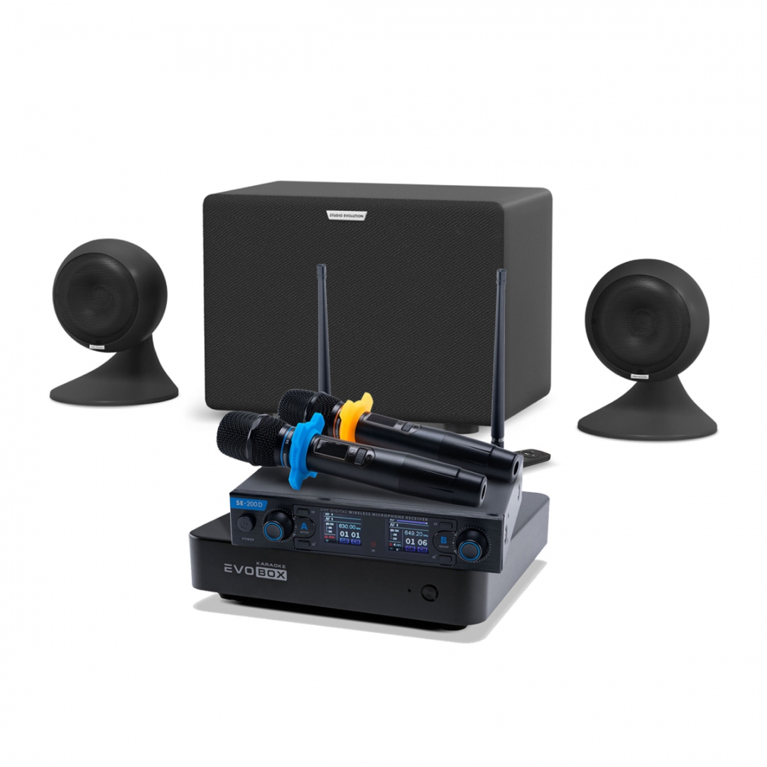 караоке-комплект EVOBOX + EvoSound Sphere 2.1 в Снежногорске