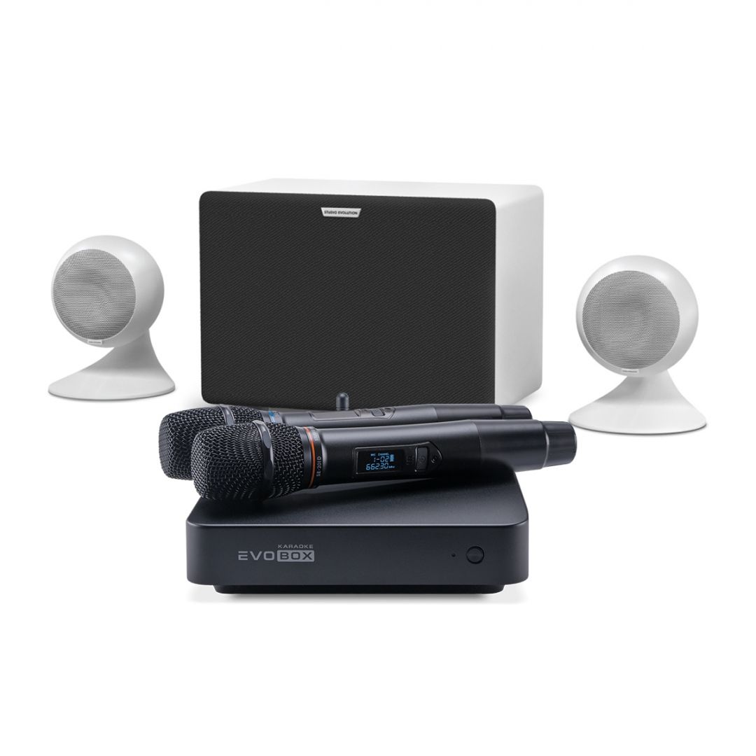 караоке-комплект EVOBOX Classic + EvoSound Sphere 2.1 в Снежногорске