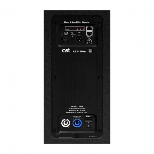 Активная акустическая система AST-310A в Снежногорске