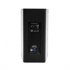 Активная акустическая система AST-310A в Снежногорске