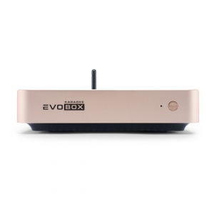 EVOBOX Plus караоке-система для дома в Снежногорске