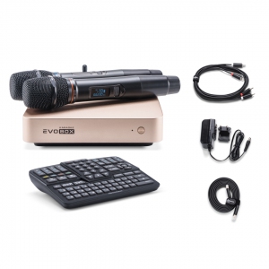 EVOBOX Plus караоке-система для дома в Снежногорске