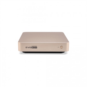 EVOBOX с микрофонами в Снежногорске